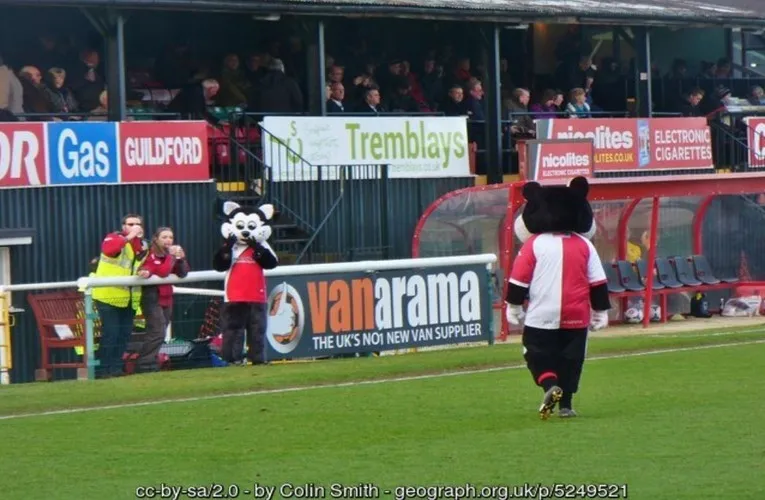 Linh vật K.C. Kat của Woking FC giao lưu cùng người hâm mộ tại Laithwaite Community Stadium, thể hiện không khí trận đấu sôi động.